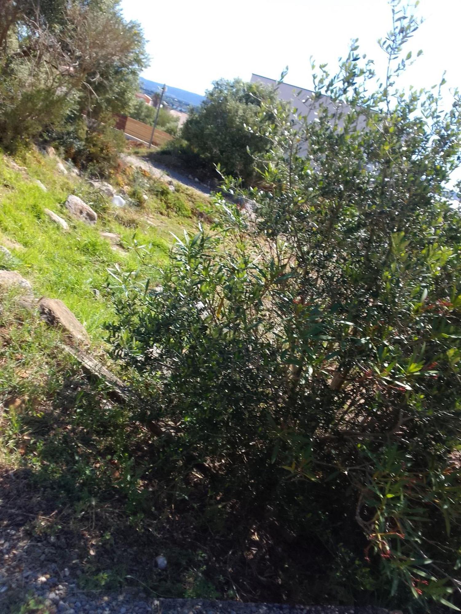 Gite De L'Etang Proche Des Grands Buffets Narbonne Bagian luar foto